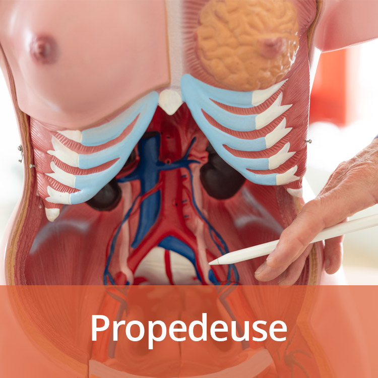 Propedeuse opleiding (Medische Basis)