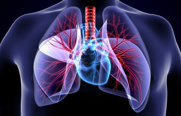 64528a7f3df4f7e1add3f9ed_644fd1ee03272b0dd1c0cd63_The20Is20to20Lungs